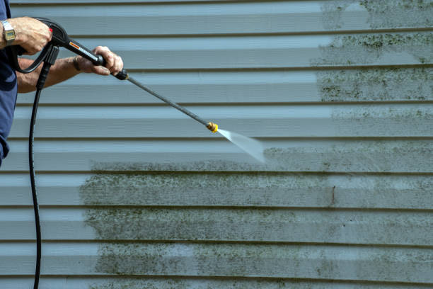Best Patio and Deck Pressure Washing  in Iowa Falls, IA