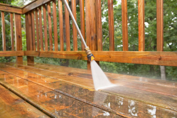 Best Building Exterior Washing  in Iowa Falls, IA